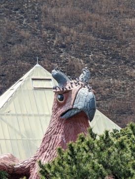 伊豆シャボテン動物公園に投稿された画像（2023/3/21）