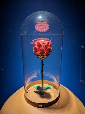 星の王子さまミュージアム 箱根サン=テグジュペリに投稿された画像（2023/3/21）