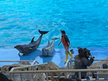 名古屋港水族館に投稿された画像（2023/3/21）