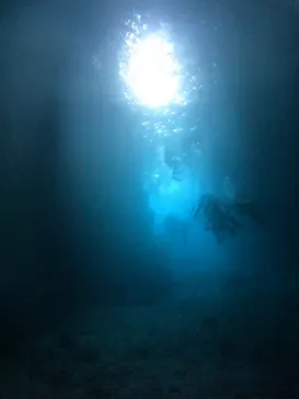 武藤潜水に投稿された画像（2023/3/21）