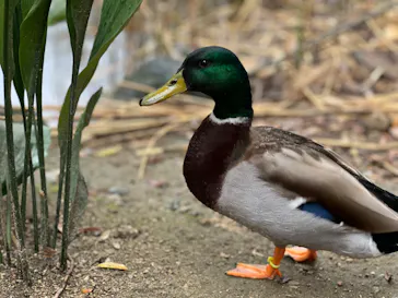 神戸どうぶつ王国に投稿された画像（2023/3/21）