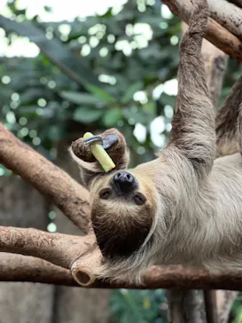 神戸どうぶつ王国に投稿された画像（2023/3/21）