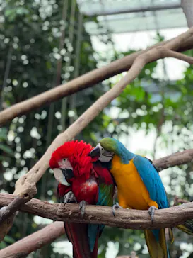 神戸どうぶつ王国に投稿された画像（2023/3/21）