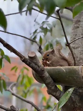 神戸どうぶつ王国に投稿された画像（2023/3/21）