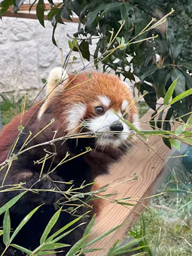 天王寺動物園に投稿された画像（2023/3/21）