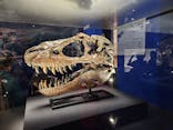 特別展「恐竜博2023」に投稿された画像（2023/3/21）