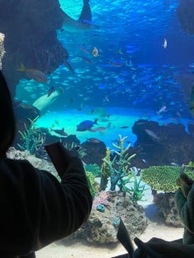 サンシャイン水族館に投稿された画像（2023/3/21）