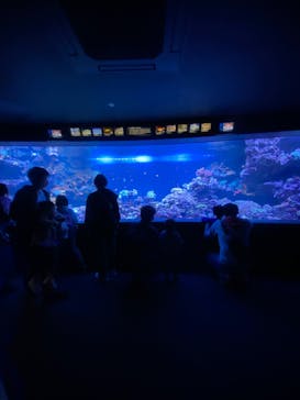 サンシャイン水族館に投稿された画像（2023/3/21）