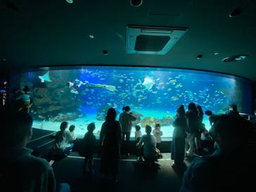 サンシャイン水族館に投稿された画像（2023/3/21）