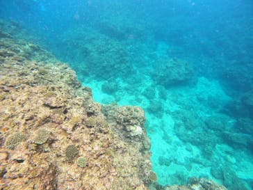 沖縄マリンサービス碧に投稿された画像（2023/3/21）