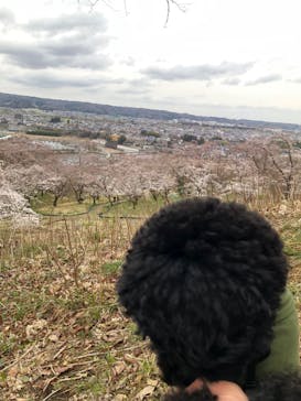わんダフルネイチャーヴィレッジに投稿された画像（2023/3/21）