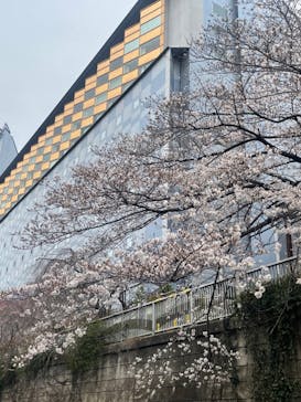 東京ウォータウェイズに投稿された画像（2023/3/21）