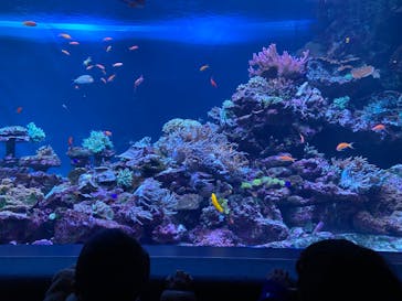 サンシャイン水族館に投稿された画像（2023/3/21）