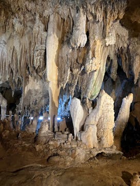 石垣島鍾乳洞に投稿された画像（2023/3/21）