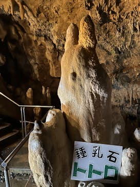 石垣島鍾乳洞に投稿された画像（2023/3/21）