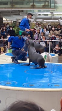 サンシャイン水族館に投稿された画像（2023/3/21）