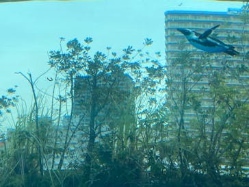 サンシャイン水族館に投稿された画像（2023/3/21）