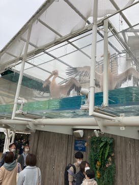 サンシャイン水族館に投稿された画像（2023/3/21）