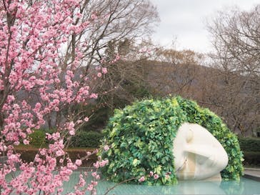 彫刻の森美術館に投稿された画像（2023/3/21）