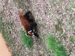 千葉市動物公園に投稿された画像（2023/3/21）
