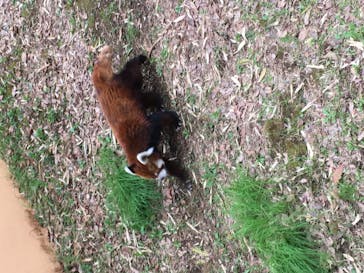 千葉市動物公園に投稿された画像（2023/3/21）
