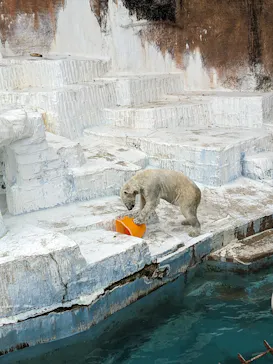 天王寺動物園に投稿された画像（2023/3/21）