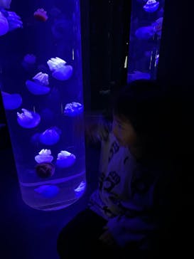 サンシャイン水族館に投稿された画像（2023/3/21）