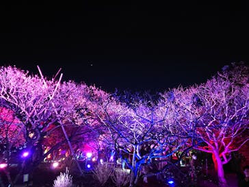 せんだい農業園芸センター　みどりの杜に投稿された画像（2023/3/21）