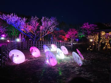 せんだい農業園芸センター　みどりの杜に投稿された画像（2023/3/21）