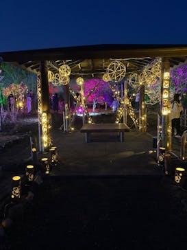 せんだい農業園芸センター　みどりの杜に投稿された画像（2023/3/21）