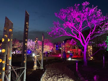 せんだい農業園芸センター　みどりの杜に投稿された画像（2023/3/21）