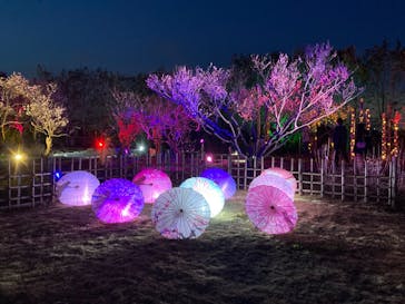 せんだい農業園芸センター　みどりの杜に投稿された画像（2023/3/21）