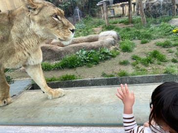 東武動物公園に投稿された画像（2023/3/21）