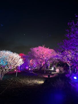 せんだい農業園芸センター　みどりの杜に投稿された画像（2023/3/21）