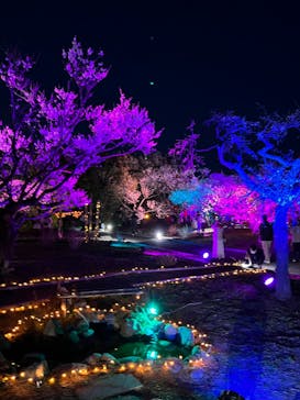 せんだい農業園芸センター　みどりの杜に投稿された画像（2023/3/21）