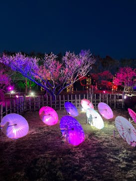 せんだい農業園芸センター　みどりの杜に投稿された画像（2023/3/21）