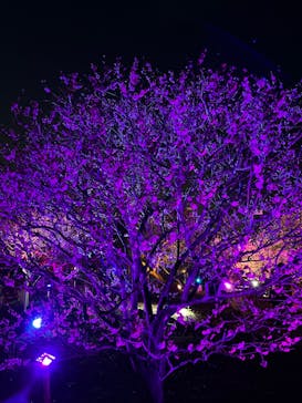 せんだい農業園芸センター　みどりの杜に投稿された画像（2023/3/21）