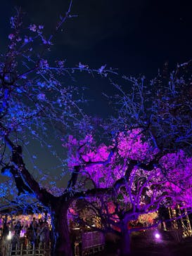 せんだい農業園芸センター　みどりの杜に投稿された画像（2023/3/21）