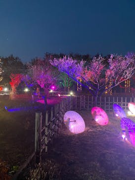 せんだい農業園芸センター　みどりの杜に投稿された画像（2023/3/21）