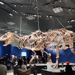 特別展「恐竜博2023」に投稿された画像（2023/3/21）