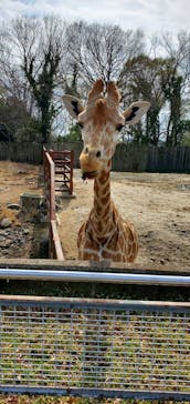 東武動物公園に投稿された画像（2023/3/21）