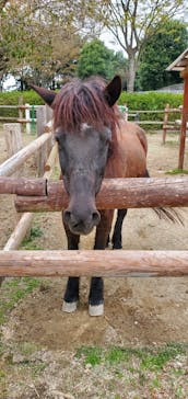 東武動物公園に投稿された画像（2023/3/21）