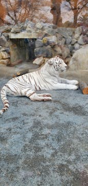 東武動物公園に投稿された画像（2023/3/21）