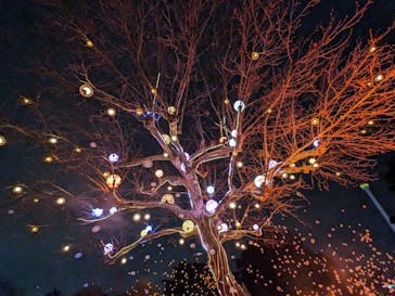 西武園ゆうえんちに投稿された画像（2023/3/21）