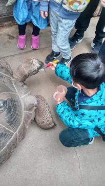 神戸どうぶつ王国に投稿された画像（2023/3/21）