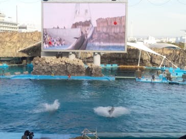 名古屋港水族館に投稿された画像（2023/3/21）