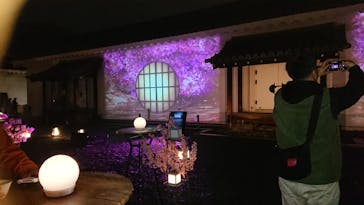 『NAKED FLOWERS 2023 桜 世界遺産・二条城』に投稿された画像（2023/3/21）