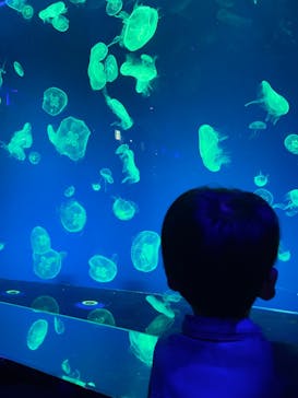 名古屋港水族館に投稿された画像（2023/3/21）