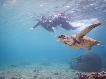 宮古島マリン SUGAR3（シュガースリー）に投稿された画像（2023/3/21）