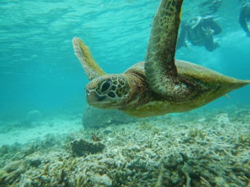 宮古島マリン SUGAR3（シュガースリー）に投稿された画像（2023/3/21）